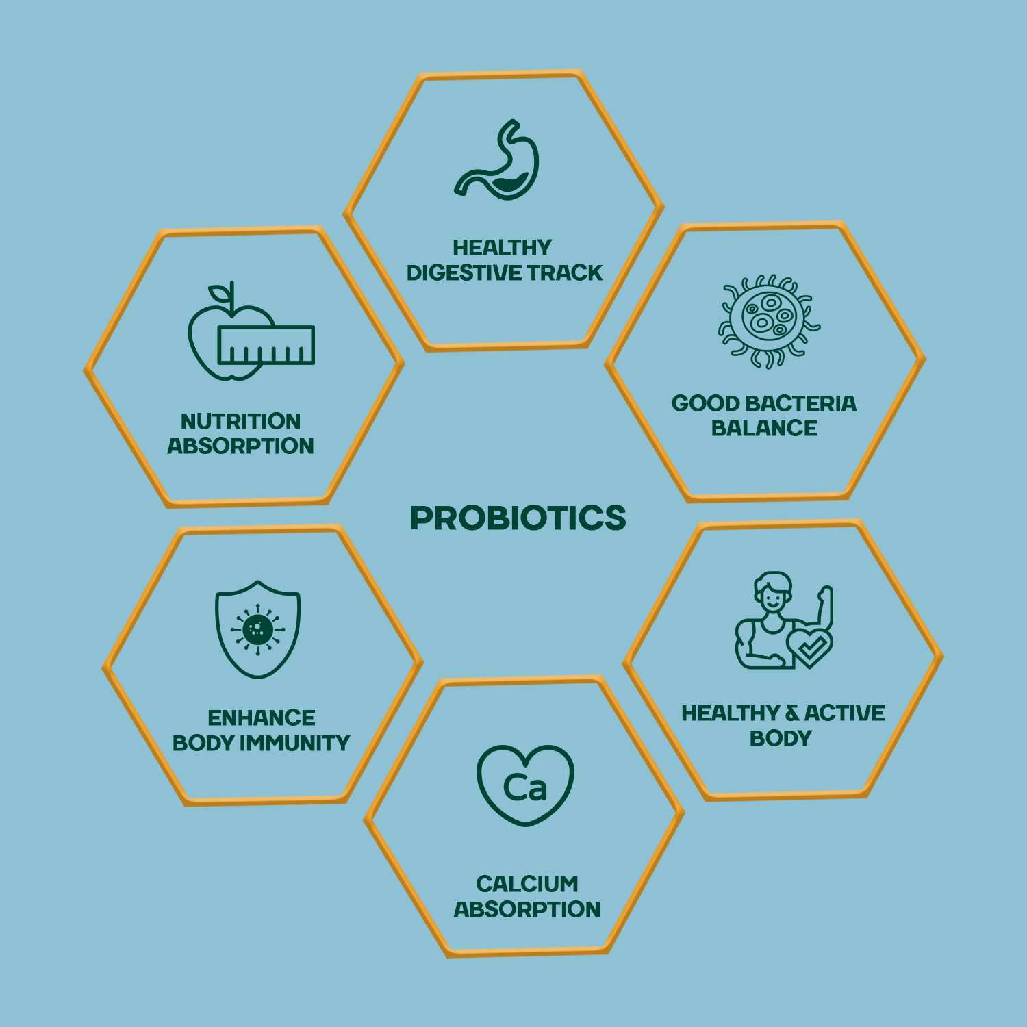 Probiotic Capsules🧬👩🏻⚕️- Immunity Builder for Gut Health - 60 Veg Capsules
