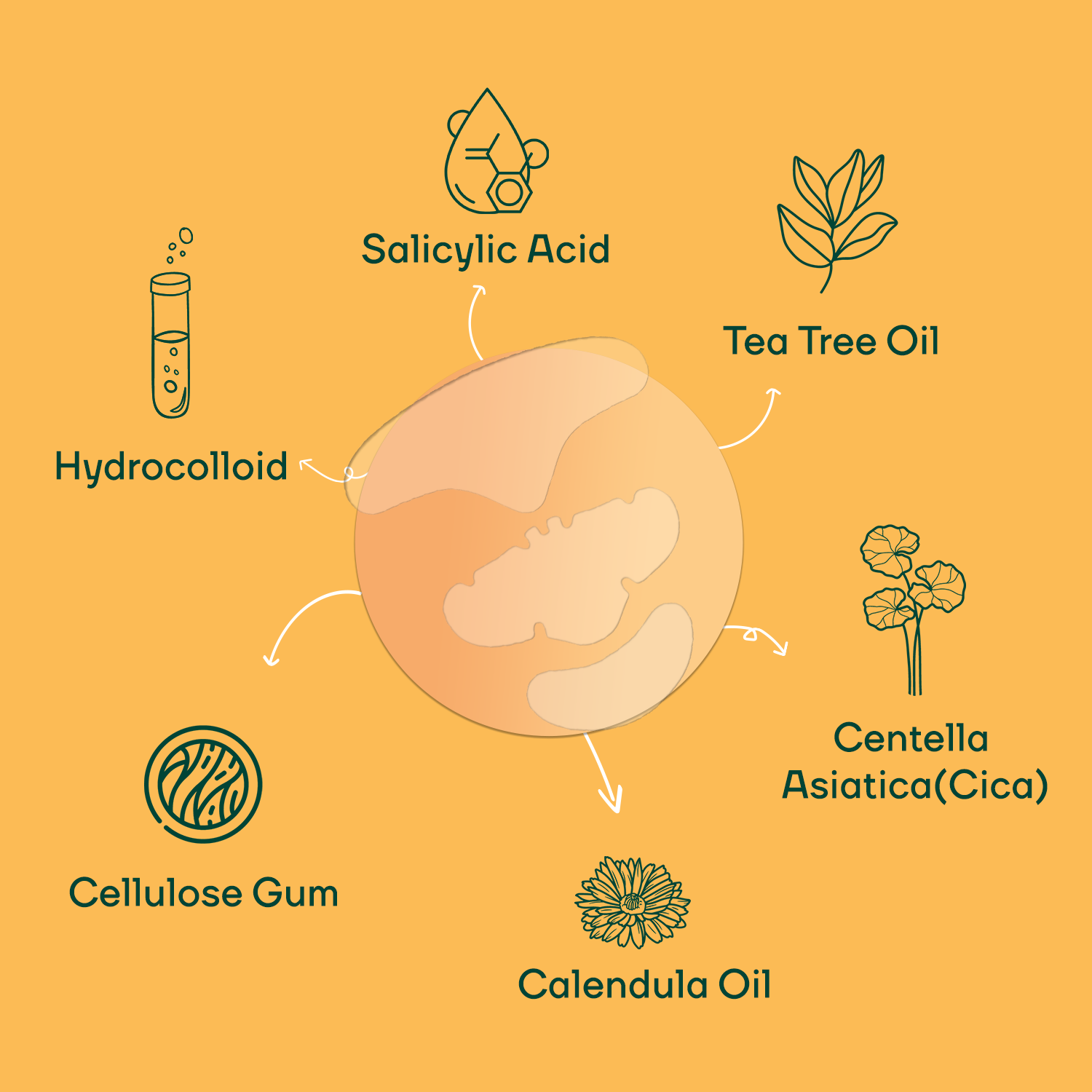 Face Acne Pimple Patch, Salicylic Acid + Tea Tree Oil Clean & Clear Hydrocolloid-Spot Corrector - Pack of 5