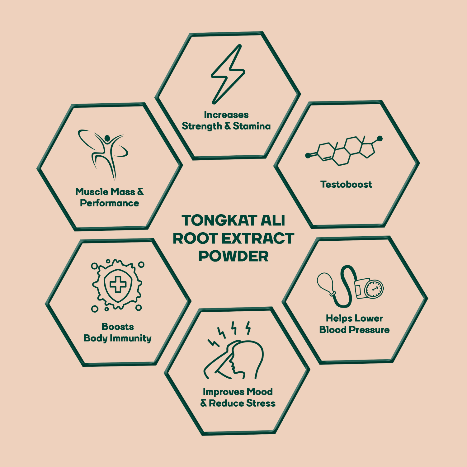 Tongkat Ali Longjack Root⚡(50g)  Enhanced Testo Level 🔥